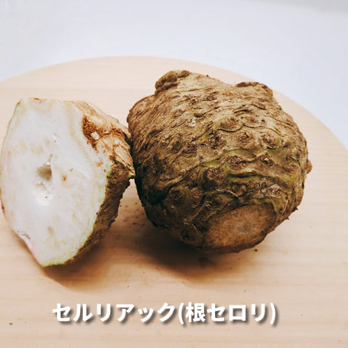 香りの西洋野菜セットB 送料無料 春の稀少なケール・ハーブ・菜花・セロリ・パセリ・かぶ類セット 福岡県他国産