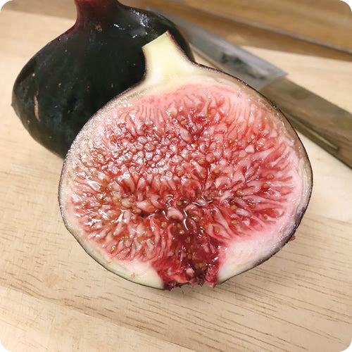 ビオレソリエス(黒いちじく) 秀品 秋だけのファンシーな皇帝いちじく 佐賀県産