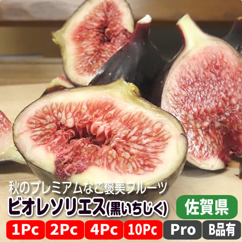 ビオレソリエス(黒いちじく) 秀品 秋だけのファンシーな皇帝いちじく 佐賀県産