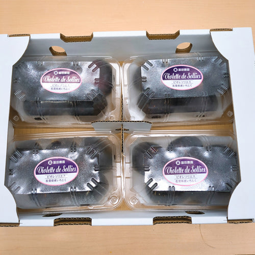 【人気商品/予約受付開始】ビオレソリエス(黒いちじく) ギフトにも喜ばれる 超プレミアムな秋のブラックフルーツ 佐賀県産