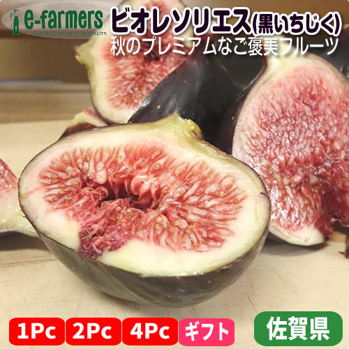 【人気商品/予約受付開始】ビオレソリエス(黒いちじく) ギフトにも喜ばれる 超プレミアムな秋のブラックフルーツ 佐賀県産