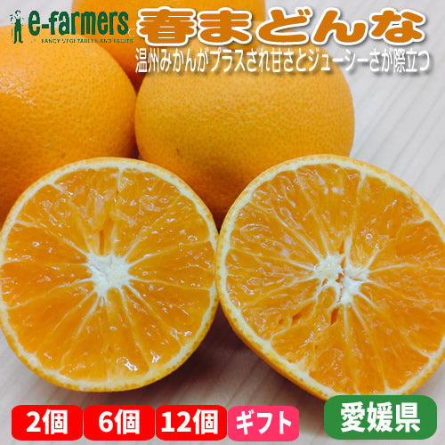 春まどんな