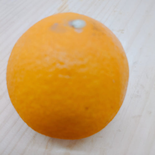 春まどんな