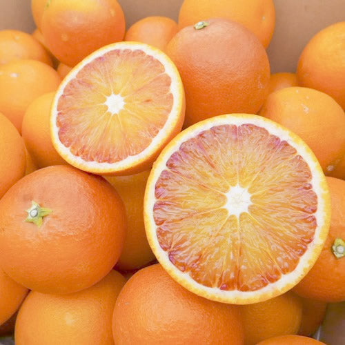 ブラッドオレンジ(タロッコ種) 果肉にアントシアンを含む柑橘王国のプレミア柑橘 愛媛県産