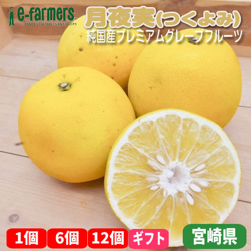 月夜実(つくよみ) 純国産プレミアムグレープフルーツ 安心の減農薬・ノーワックス 南国の爽やかな味と香り 宮崎県産