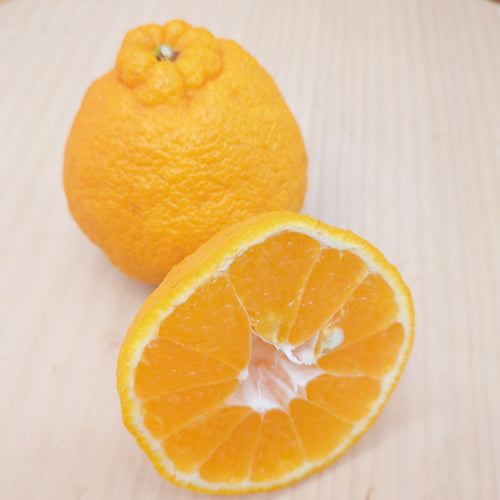 不知火(しらぬい) 森のランタン 日南の自然豊かな柑橘の森の中で育った深いコク 宮崎県産