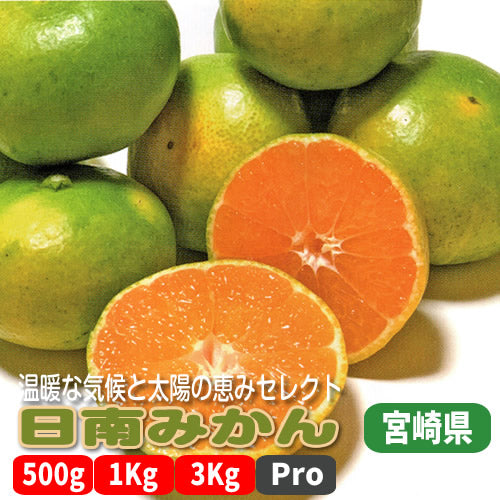 日南みかん 甘味と酸味のバランスにこだわる青みかん 宮崎県産