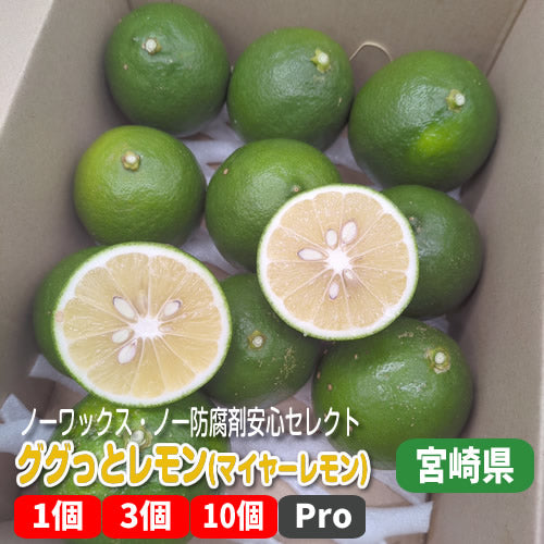 ググっとレモン(マイヤーレモン) 酸味が少なくジューシーでアレンジ豊富 ワックス・防腐剤不使用 宮崎県産