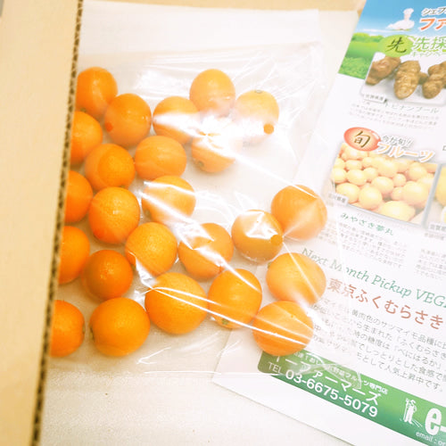 宮崎夢丸(みやざきゆめまる) 種なし金柑 宮崎県の夢をのせた甘くて上品な香り 宮崎県産