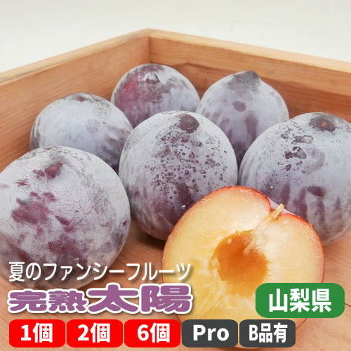 完熟太陽 皮ごと丸かじりで夏満喫の大玉極上プラム 山梨県産