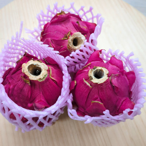 種子島のレッドドラゴンフルーツ 美容効果に注目が集まるトロピカルフルーツ 種子島産