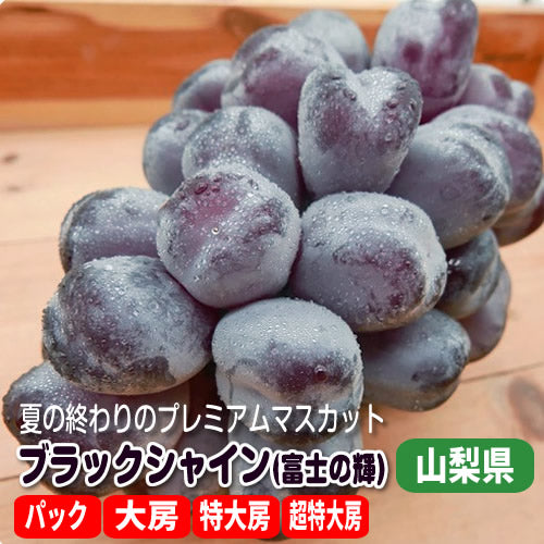 ブラックシャイン(富士の輝 露地栽培) フルーツ王国の秋の黒光マスカット 山梨県産