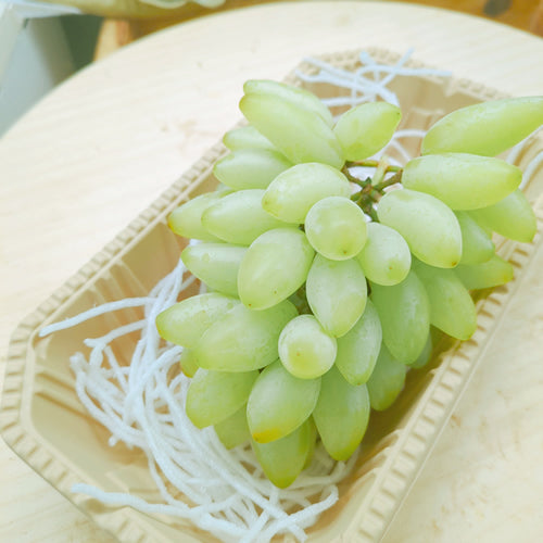 レディースフィンガー(ピッテロ・ビアンコ) 露地栽培 皮ごとボリボリ美味しく食べれるスマートなスナックマスカット 山梨県産