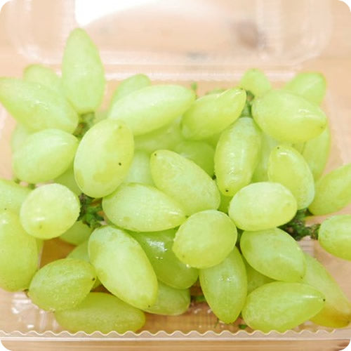 レディースフィンガー 露地栽培 皮ごとボリボリ美味しく食べれるスマートな種なしマスカット 山梨県産