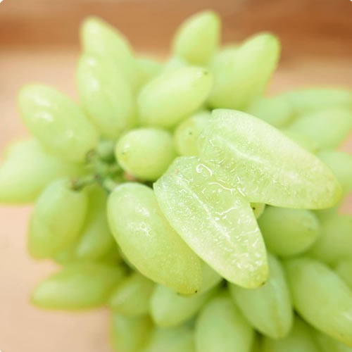レディースフィンガー 露地栽培 皮ごとボリボリ美味しく食べれるスマートな種なしマスカット 山梨県産
