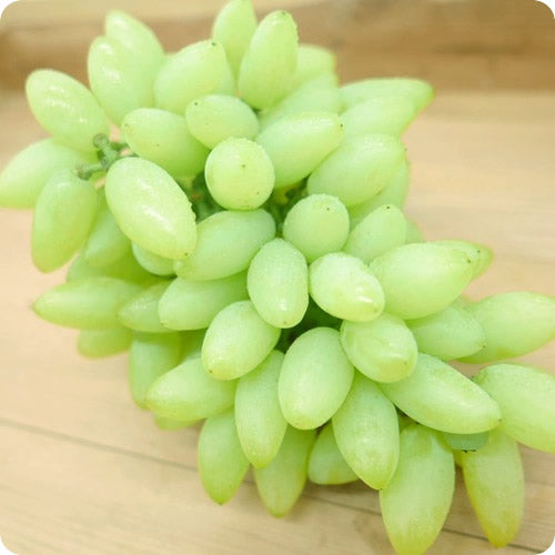 レディースフィンガー(ピッテロ・ビアンコ) 露地栽培 皮ごとボリボリ美味しく食べれるスマートなスナックマスカット 山梨県産