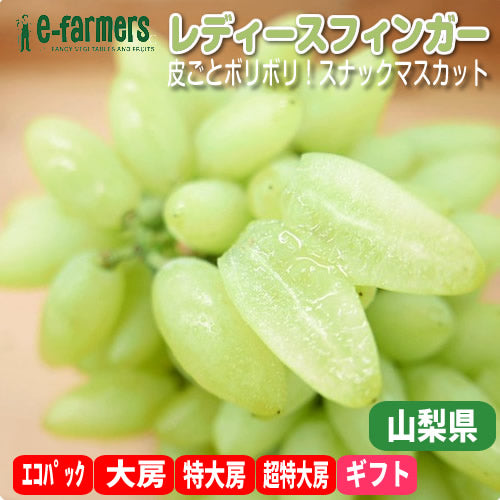 レディースフィンガー(ピッテロ・ビアンコ) 露地栽培 皮ごとボリボリ美味しく食べれるスマートなスナックマスカット 山梨県産