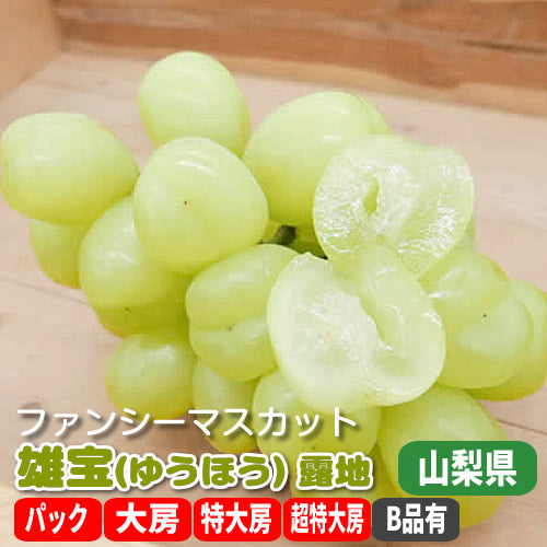 雄宝(ゆうほう) 露地栽培 大粒でジューシーな酸味の少ないマスカット 山梨県産