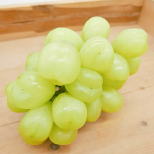 雄宝(ゆうほう) ハウス栽培 大粒でジューシーな酸味の少ないマスカット 山梨県産