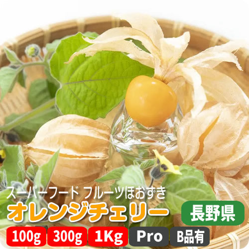 フルーツほおずき オレンジチェリー 注目のスーパーフード 大きめなゴールデンベリー 長野県産