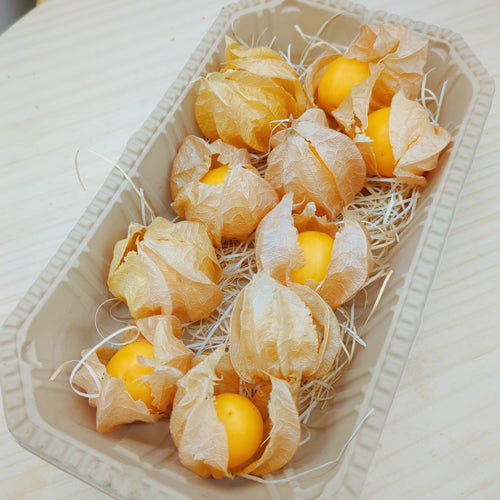 フルーツほおずき オレンジチェリー 注目のスーパーフード 大きめなゴールデンベリー 長野県産