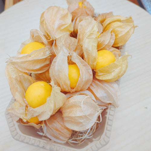 フルーツほおずき オレンジチェリー 注目のスーパーフード 大きめなゴールデンベリー 長野県産