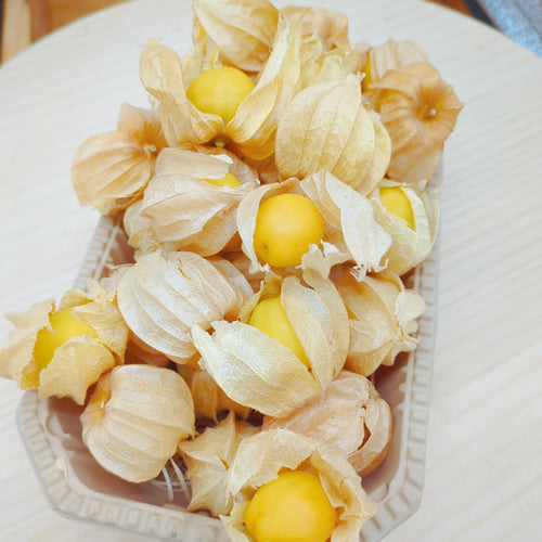 フルーツほおずき 太陽の子 | トロピカルフルーツのような甘酸っぱさ 長野県白馬村産