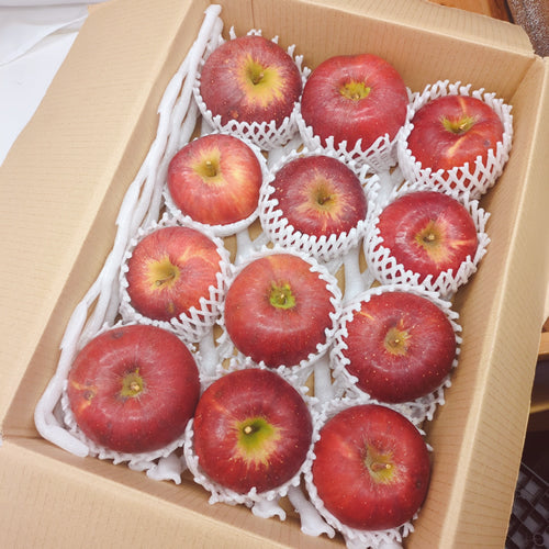 春紅玉(はるこうぎょく) 春先に旬を迎える長持ちクッキングアップル 岩手県産