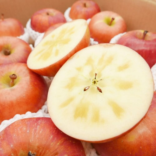 高徳(こうとく)|濃厚蜜入りで香り豊かな稀少な高級フルーツ 岩手県産