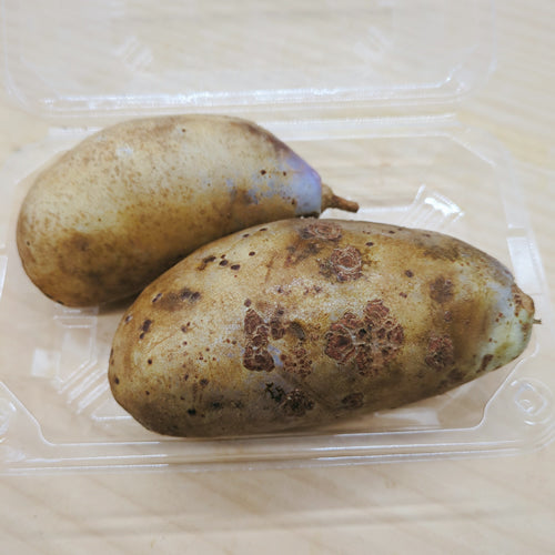 天然フルーツ アケビ|野生の美味しさを味わう白神山地の恵み 秋田県産