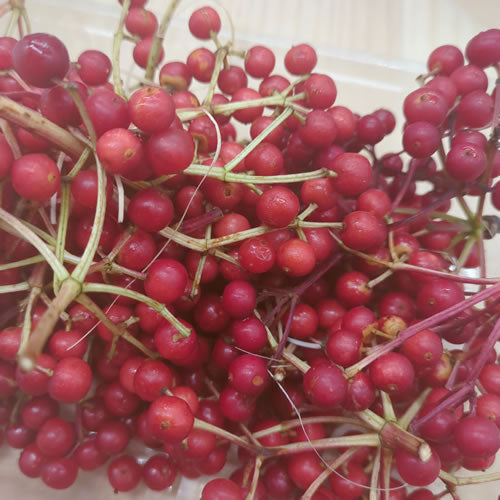 天然果樹 ガマズミの実 ビタミンCが豊富で強い酸味とまろやかな苦み 秋田県産