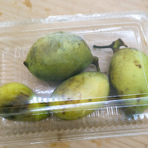 天然フルーツ ポポの実 | 数量限定 森のカスタード 秋の幻フルーツ 秋田県産