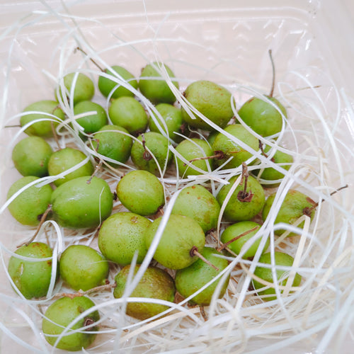 天然フルーツ サルナシ | 秋田の山採れ 皮ごと食べられる濃厚ミニキウイ 秋田県産