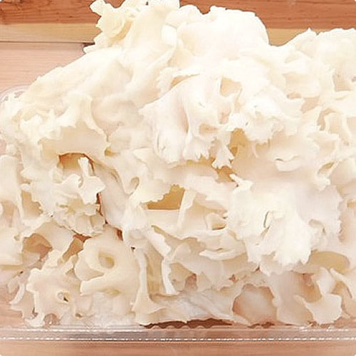 ハナビラダケ(花びら茸) 優品 フレッシュきのこ スーパーフード 旨み成分豊富 長野県産