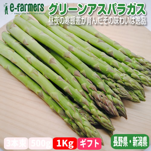 グリーンアスパラガス プレミアム  送料無料 サイズで選ぶ 厳選１Ｋｇ以上  シャキッとした食べ応えの中にほのかな甘みと風味 長野県・新潟県産