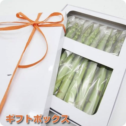 グリーンアスパラガス プレミアム  送料無料 サイズで選ぶ 厳選１Ｋｇ以上  シャキッとした食べ応えの中にほのかな甘みと風味 長野県・新潟県産
