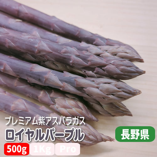 紫アスパラ ロイヤルパープルプレミアム ジューシーで甘い サイズで選ぶ 厳選５００ｇ以上 長野県産