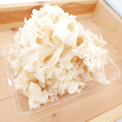 ハナビラダケ(花びら茸)  フレッシュきのこ スーパーフード 旨み成分豊富 長野県産