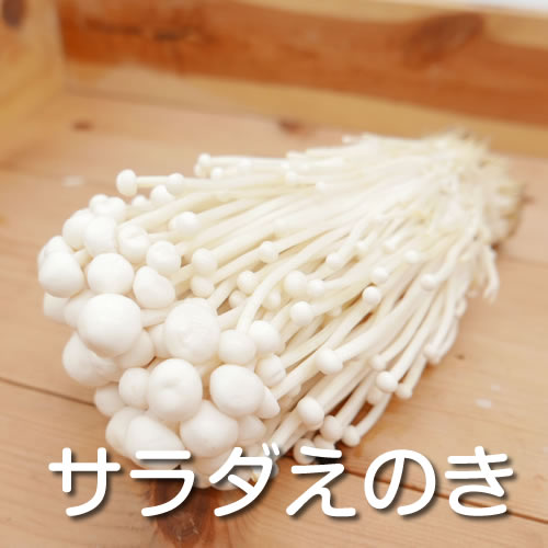 カラフルきのこセット　ヘルシーな冬鍋・味噌汁・バター醤油でも！ピザ・パスタの彩り具材にも！ 長野県産など