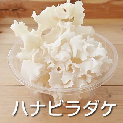 カラフルきのこセット　ヘルシーな冬鍋・味噌汁・バター醤油でも！ピザ・パスタの彩り具材にも！ 長野県産など