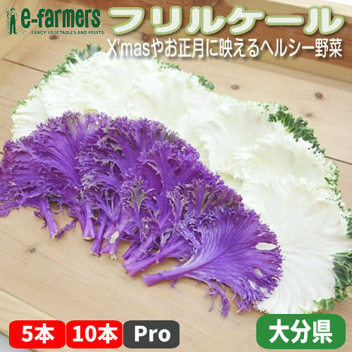 フリルケール(白・紫・デュオ)｜特別な日のための彩りリーフ 九州産