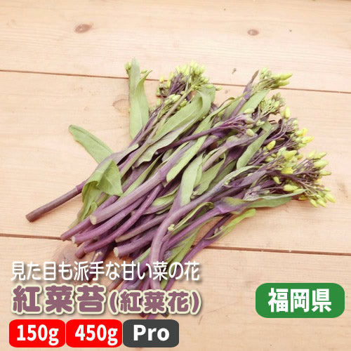紅菜苔(紅菜花)  クセのないアスパラの様な甘みが魅力 福岡県産