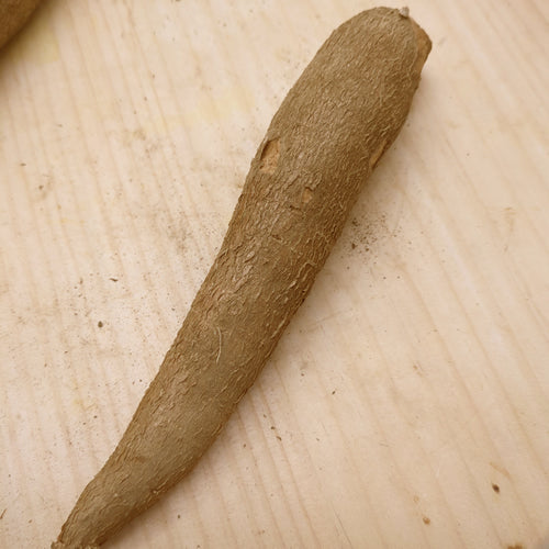 キャッサバ｜タピオカ原料で話題のエスニック根菜・ほくほく濃甘 埼玉県産