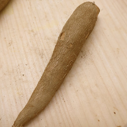キャッサバ｜タピオカ原料で話題のエスニック根菜・ほくほく濃甘 埼玉県産