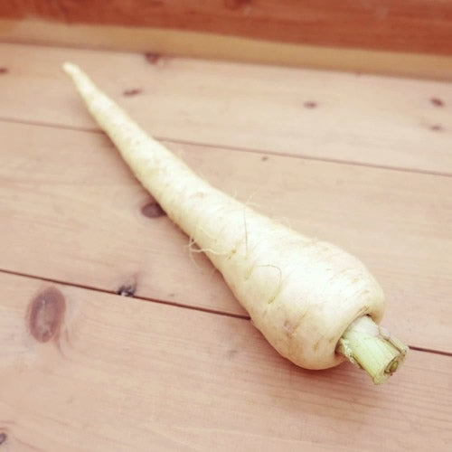 パースニップ｜白い人参のような西洋根菜 甘みと香りを楽しむ冬のごちそう　福岡県産