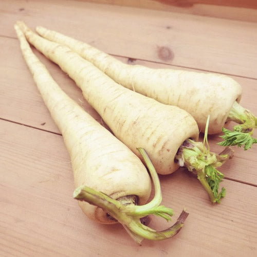 パースニップ｜白い人参のような西洋根菜 甘みと香りを楽しむ冬のごちそう　福岡県産