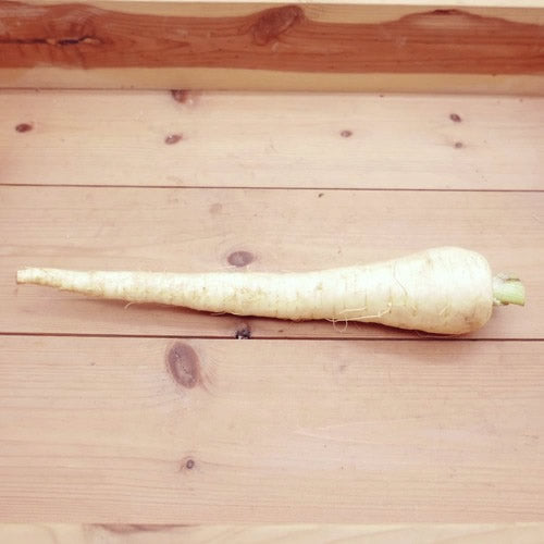 パースニップ｜白い人参のような西洋根菜 甘みと香りを楽しむ冬のごちそう　福岡県産