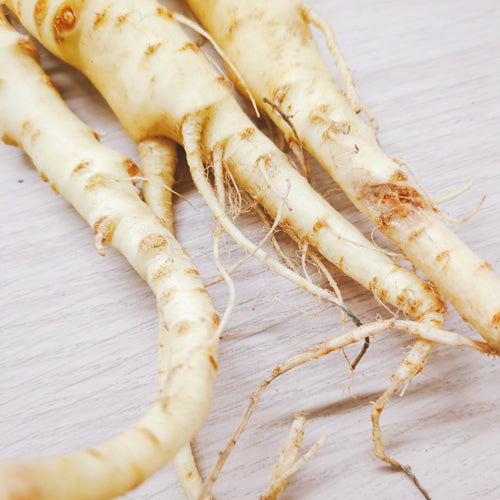 パースニップ｜白い人参のような西洋根菜 甘みと香りを楽しむ冬のごちそう　福岡県産