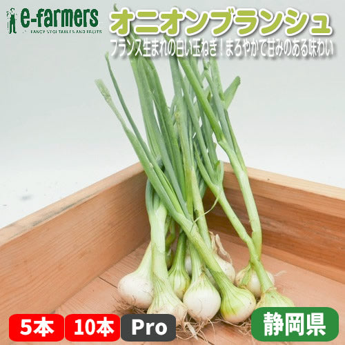 オニオンブランシュ　フランス生まれの白い玉ねぎ！まろやかで甘みのある味わい 静岡県産