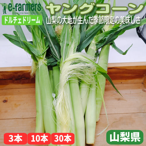 ヤングコーン(ドルチェドリーム)  ひげ付き皮付き 山梨の大地が生んだ季節限定の美味しさ 山梨県産